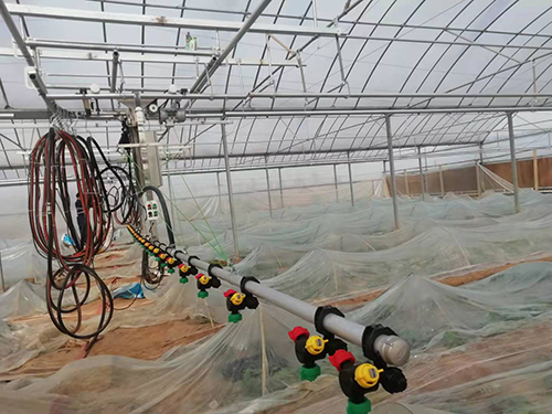 如何防 治溫室育苗的常見(jiàn)病害?